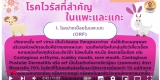 โรคไวรัสที่สำคัญในแพะและแกะ